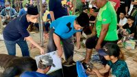 Dok. Foto : Proses penyembelihan hewan kurban di Pesantren Tebuireng, Minggu, (10/07).