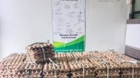 Berbagi Kebaikan Paket Telur Gratis, Kerjasama LSPT dengan PT. Charoen Pokphand Indonesia Jombang Berbagi Kebaikan Paket Telur Gratis